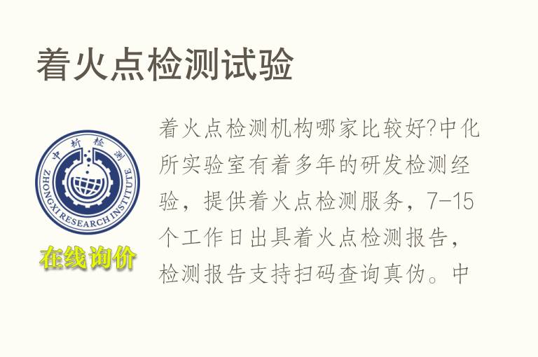 <font color='red'>着火点</font>检测试验