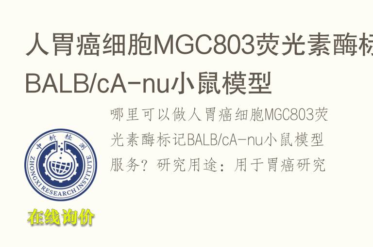 人胃癌细胞MGC803荧光素酶标记BALB/cA-nu小鼠<font color='red'>模型</font>