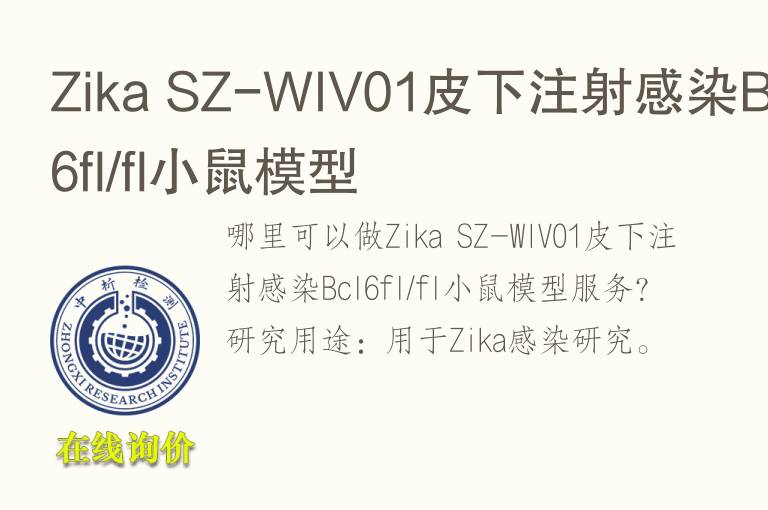 Zika SZ-WIV01皮下注射感染Bcl6fl/fl小鼠模型