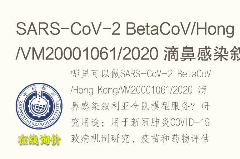 SARS-CoV-2 BetaCoV/Hong Kong/VM20001061/2020 滴鼻感染叙利亚仓鼠模型