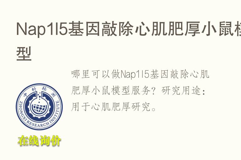 Nap1l5<font color='red'>基因</font>敲除心肌肥厚小鼠模型
