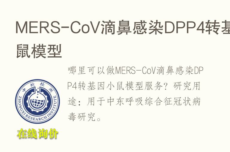 MERS-CoV滴鼻感染DPP4转基因小鼠模型