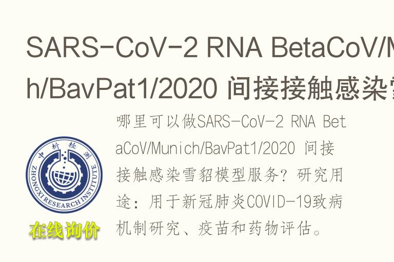 SARS-CoV-2 RNA BetaCoV/Munich/BavPat1/2020 间接接触感染雪貂模型