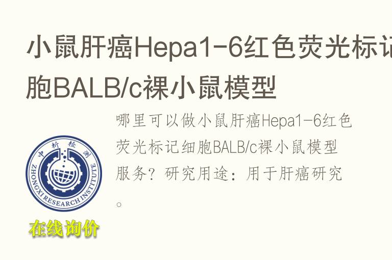 小鼠肝癌<font color='red'>He</font>pa1-6红色荧光标记细胞BALB/c裸小鼠模型