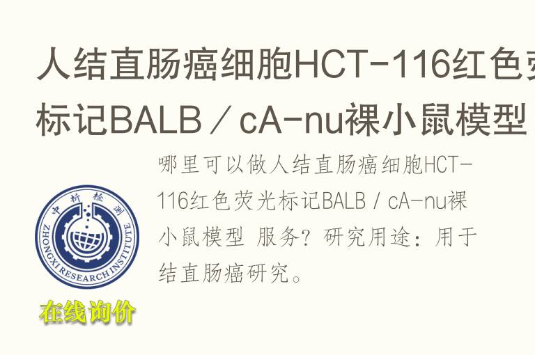 人结直肠癌细胞HCT-<font color='red'>11</font>6红色荧光标记BALB／cA-nu裸小鼠模型