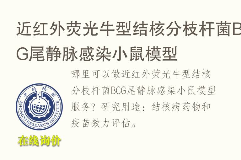 近<font color='red'>红外</font>荧光牛型结核分枝杆菌BCG尾静脉感染小鼠模型