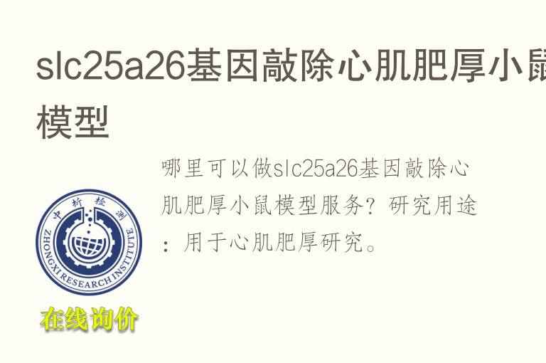 slc25a26<font color='red'>基因</font>敲除心肌肥厚小鼠模型