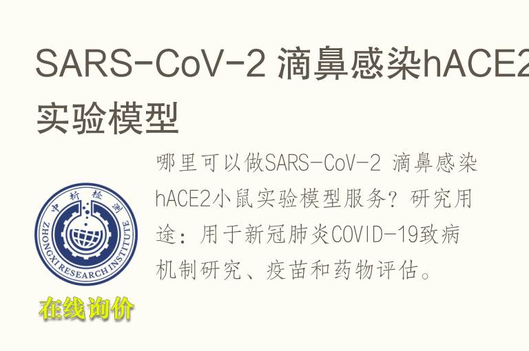 SARS-CoV-2 滴鼻感染hACE2小鼠<font color='red'>实验</font>模型