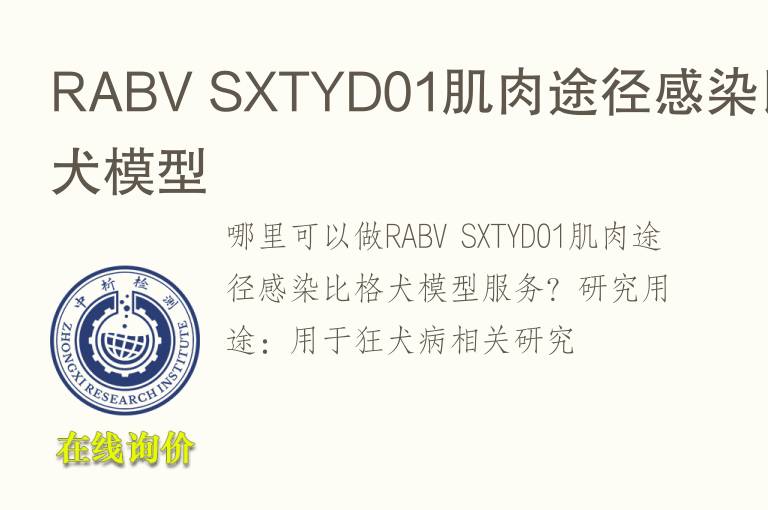 RABV SXTYD01肌肉途径感染比格犬模型