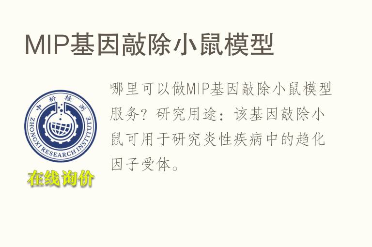 <font color='red'>MI</font>P基因敲除小鼠模型