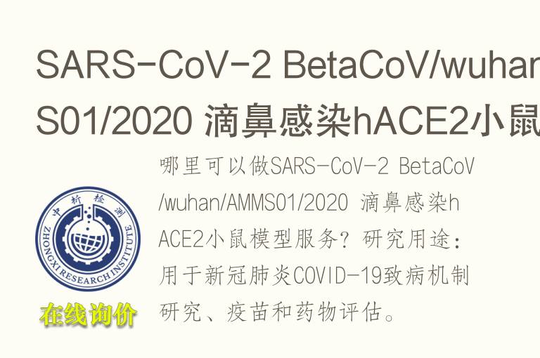 SARS-CoV-2 BetaCoV/wuhan/AMMS01/2020 滴鼻感染hACE2小鼠模型