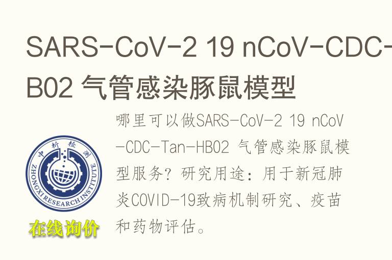 SARS-CoV-2 19 nCoV-CDC-Tan-HB02 气管感染<font color='red'>豚鼠</font>模型