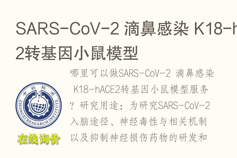 SARS-CoV-2 滴鼻感染 K18-hACE2转基因小鼠<font color='red'>模型</font>