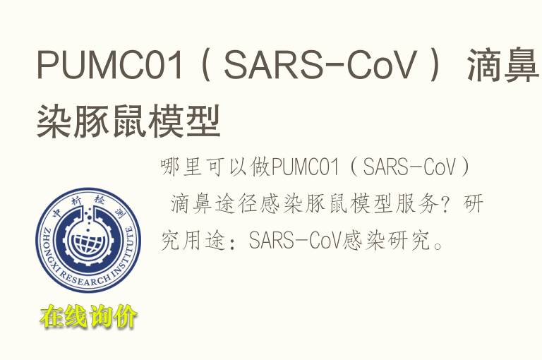PUMC01（SARS-CoV） 滴鼻途径感染<font color='red'>豚鼠</font>模型
