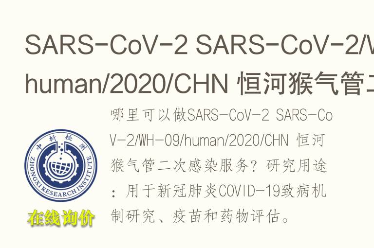 SARS-CoV-2 SARS-CoV-2/WH-09/human/2020/CHN 恒河猴<font color='red'>气</font>管二次感染