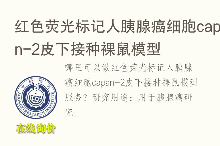 红色荧光标记人胰腺癌细胞capan-2<font color='red'>皮</font>下接种裸鼠模型