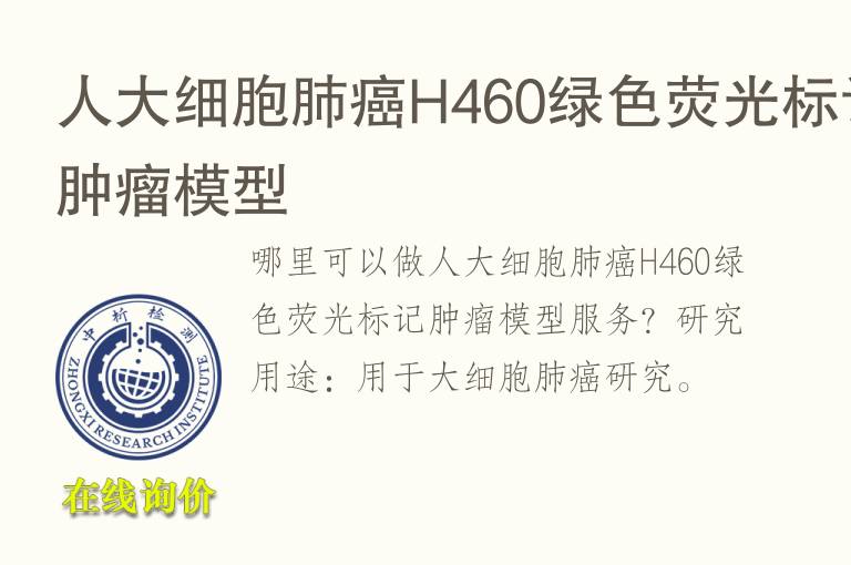 人大细胞肺癌H460绿色荧光标记<font color='red'>肿瘤</font>模型