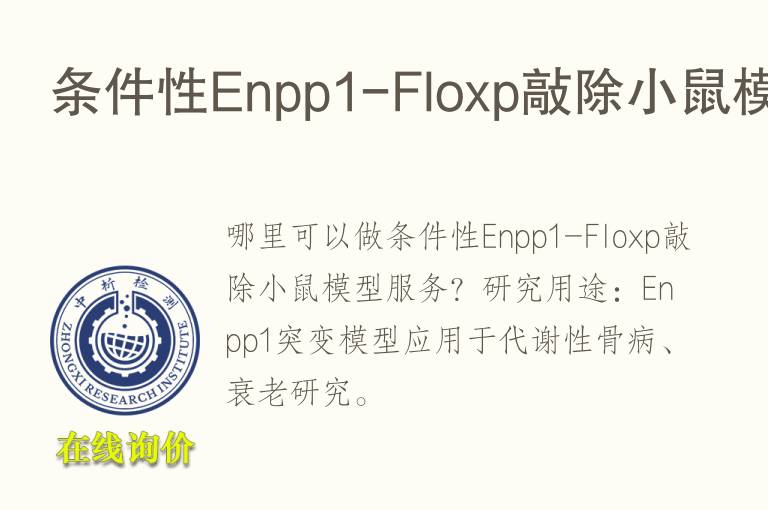 条件性En<font color='red'>pp</font>1-Floxp敲除小鼠模型