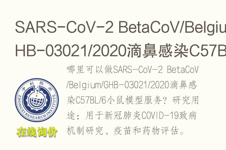 SARS-CoV-2 BetaCoV/Belgium/GHB-03021/2020滴鼻感染C57BL/6小鼠模型