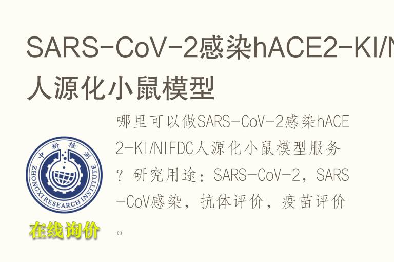SARS-CoV-2感染hACE2-KI/NIFDC人源化小鼠模型