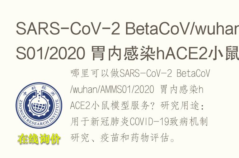 SARS-CoV-2 BetaCoV/wuhan/AMMS01/2020 胃内感染hACE2小鼠模型