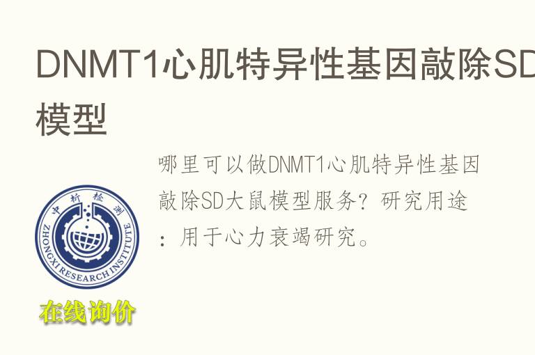 DNMT1心肌特异性基因敲除SD<font color='red'>大鼠</font>模型