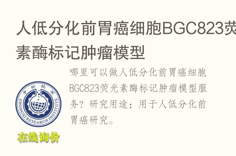 人低分化前胃癌细胞BGC823荧光素<font color='red'>酶</font>标记肿瘤模型