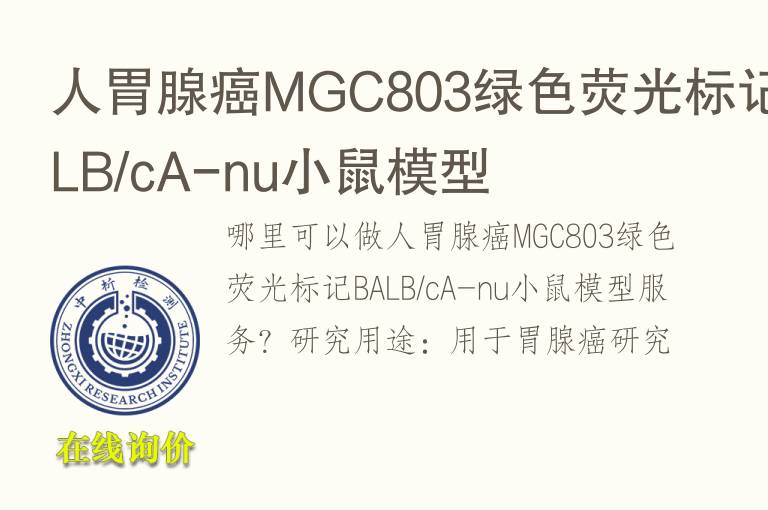 人胃腺癌MGC803绿<font color='red'>色</font>荧光标记BALB/cA-nu小鼠模型