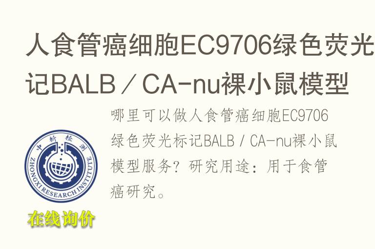 人<font color='red'>食管癌</font>细胞EC9706绿色荧光标记BALB／CA-nu裸小鼠模型
