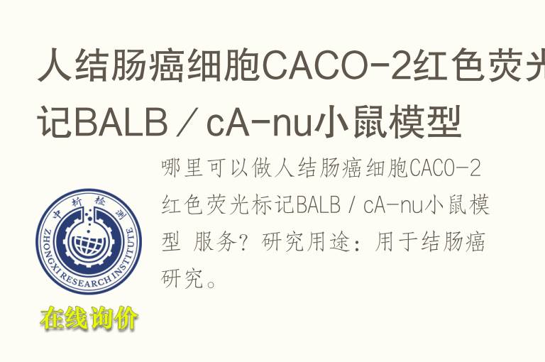 人结肠癌细胞CACO-2红<font color='red'>色</font>荧光标记BALB／cA-nu小鼠模型