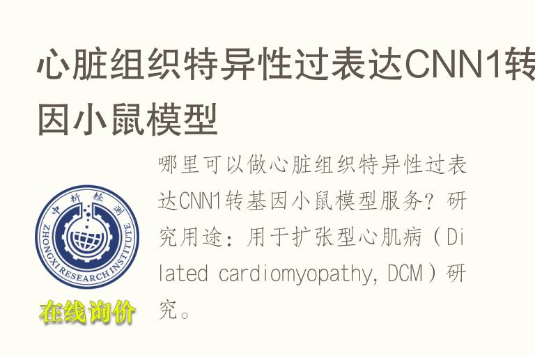 心脏组织特异性过表达CNN1转<font color='red'>基因</font>小鼠模型