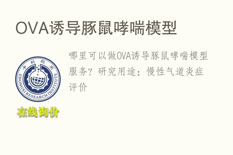OVA诱导<font color='red'>豚鼠</font>哮喘模型