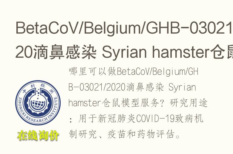 BetaCoV/Belgium/GHB-03021/2020滴鼻感染 Syrian hamster仓鼠模型