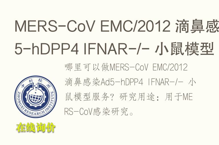 MERS-CoV EMC/2012 滴鼻感染Ad5-hDPP4 IFNAR-/- 小鼠模型