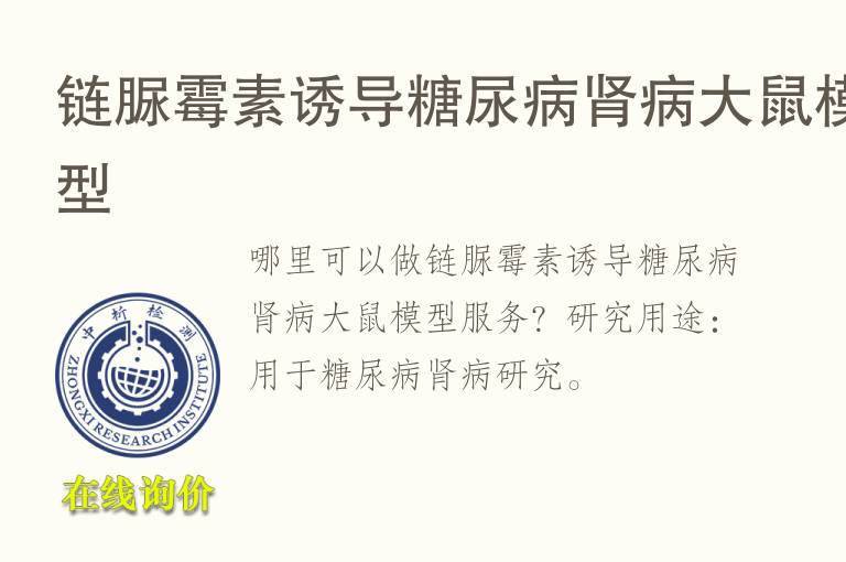 链脲霉素诱导糖尿病肾病<font color='red'>大鼠</font>模型