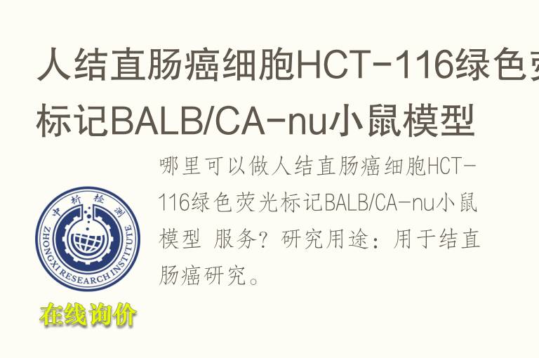 人结直肠癌细胞HCT-<font color='red'>11</font>6绿色荧光标记BALB/CA-nu小鼠模型