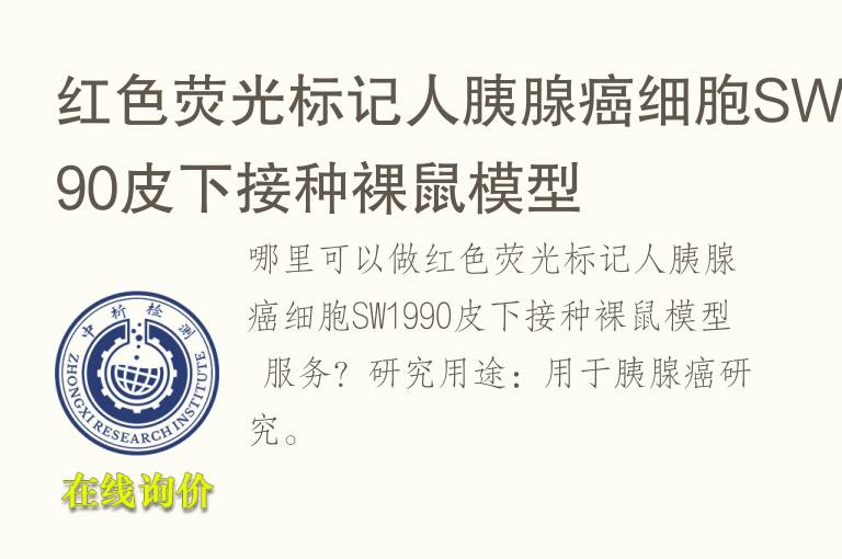 红色荧光标记人胰腺癌细胞SW1990<font color='red'>皮</font>下接种裸鼠模型