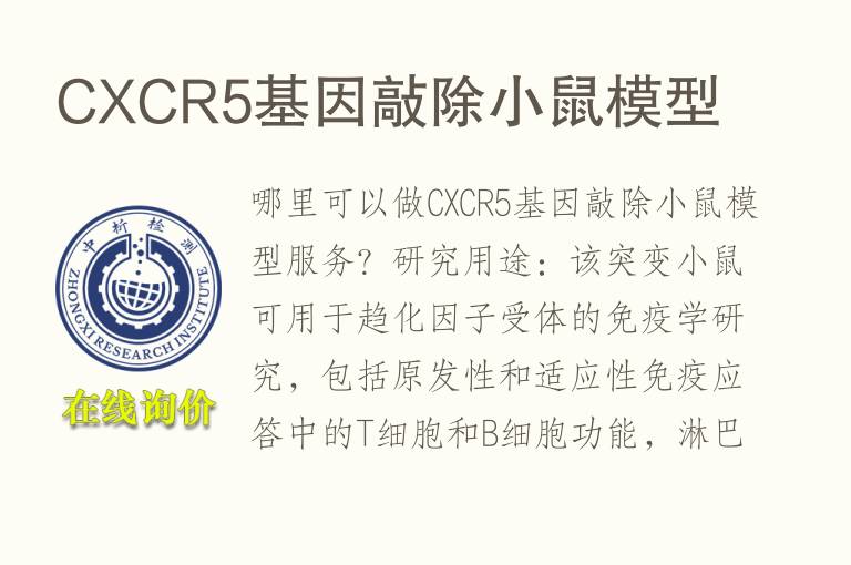 CXCR5<font color='red'>基因</font>敲除小鼠模型