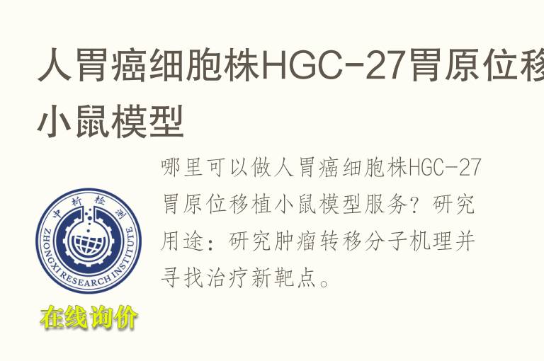 人胃癌细胞株HGC-27胃原位移植小鼠模型