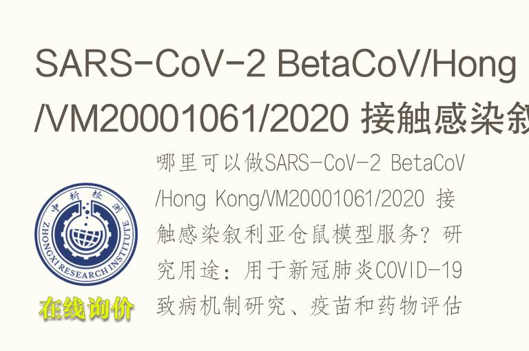 SARS-CoV-2 BetaCoV/Hong Kong/VM20001061/2020 接触感染叙利亚仓鼠模型