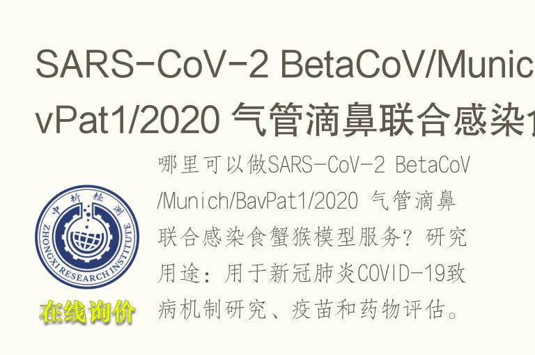 SARS-CoV-2 BetaCoV/Munich/BavPat1/2020 气管滴鼻联合感染食蟹猴模型