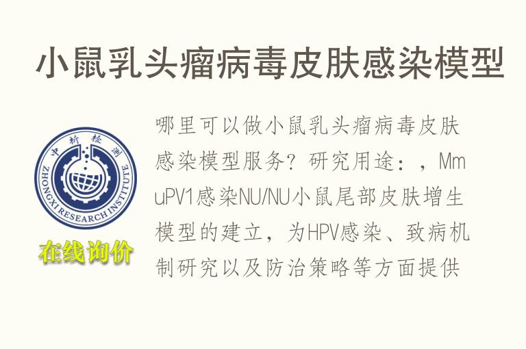 小鼠乳头瘤<font color='red'>病毒</font>皮肤感染模型