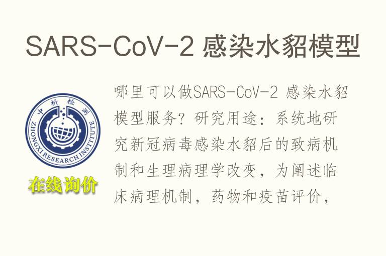 SARS-CoV-2 感染水貂<font color='red'>模型</font>