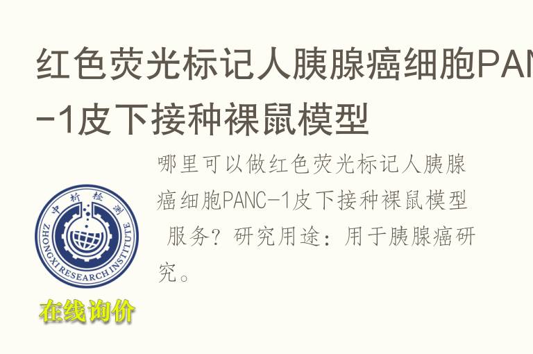 红色荧光标记人胰腺癌细胞PANC-1<font color='red'>皮</font>下接种裸鼠模型