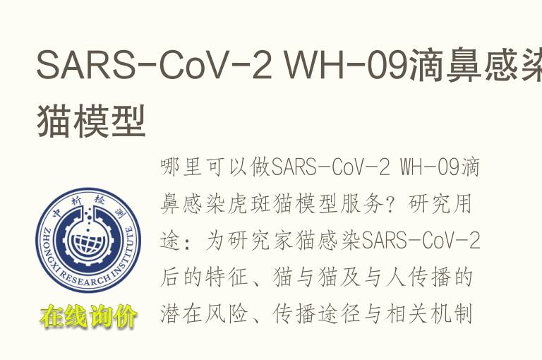 SARS-CoV-2 WH-09滴鼻感染虎斑猫<font color='red'>模型</font>