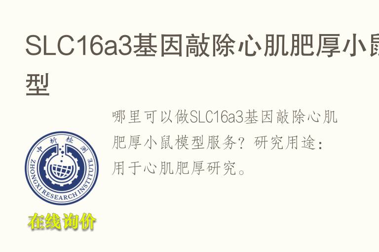 SLC16a3<font color='red'>基因</font>敲除心肌肥厚小鼠模型