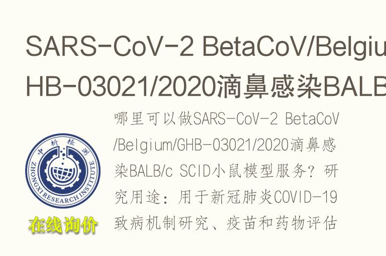 SARS-CoV-2 BetaCoV/Belgium/GHB-03021/2020滴鼻感染BALB/c SCID小鼠模型