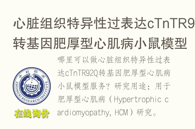 心脏组织特异性过表达cTnTR92Q转基因肥厚型心肌病小鼠模型