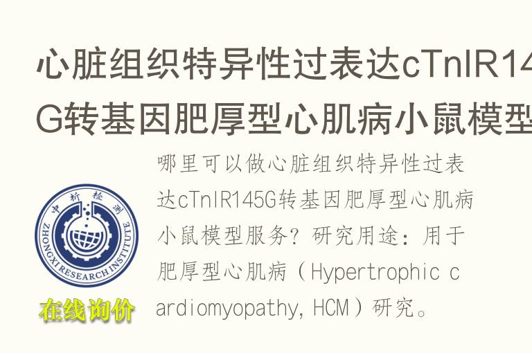 心脏组织特异性过表达cTnIR145G转基因肥厚型心肌病小鼠模型