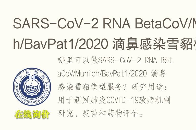 SARS-CoV-2 RNA BetaCoV/Munich/BavPat1/2020 滴鼻感染雪貂模型